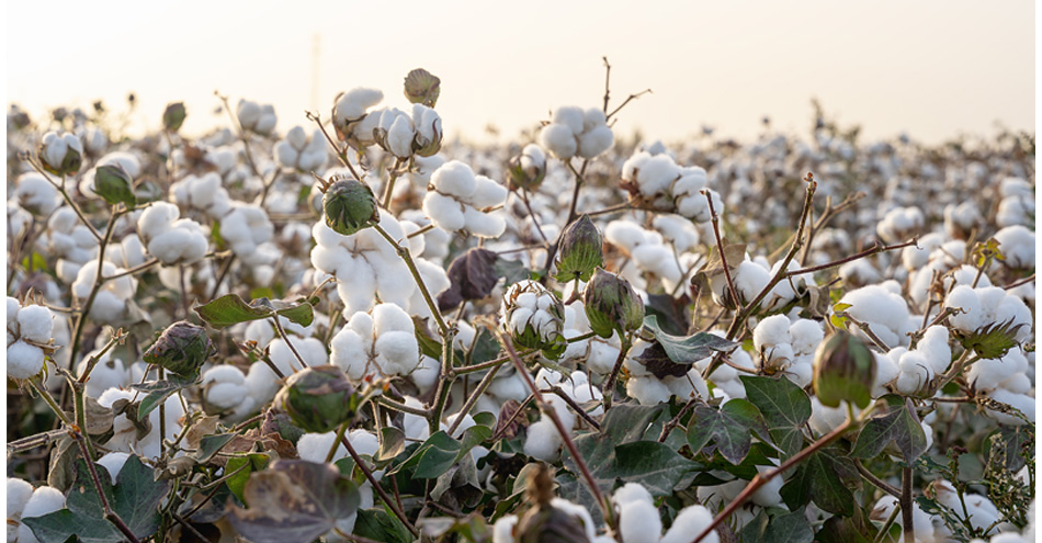 holland textiles